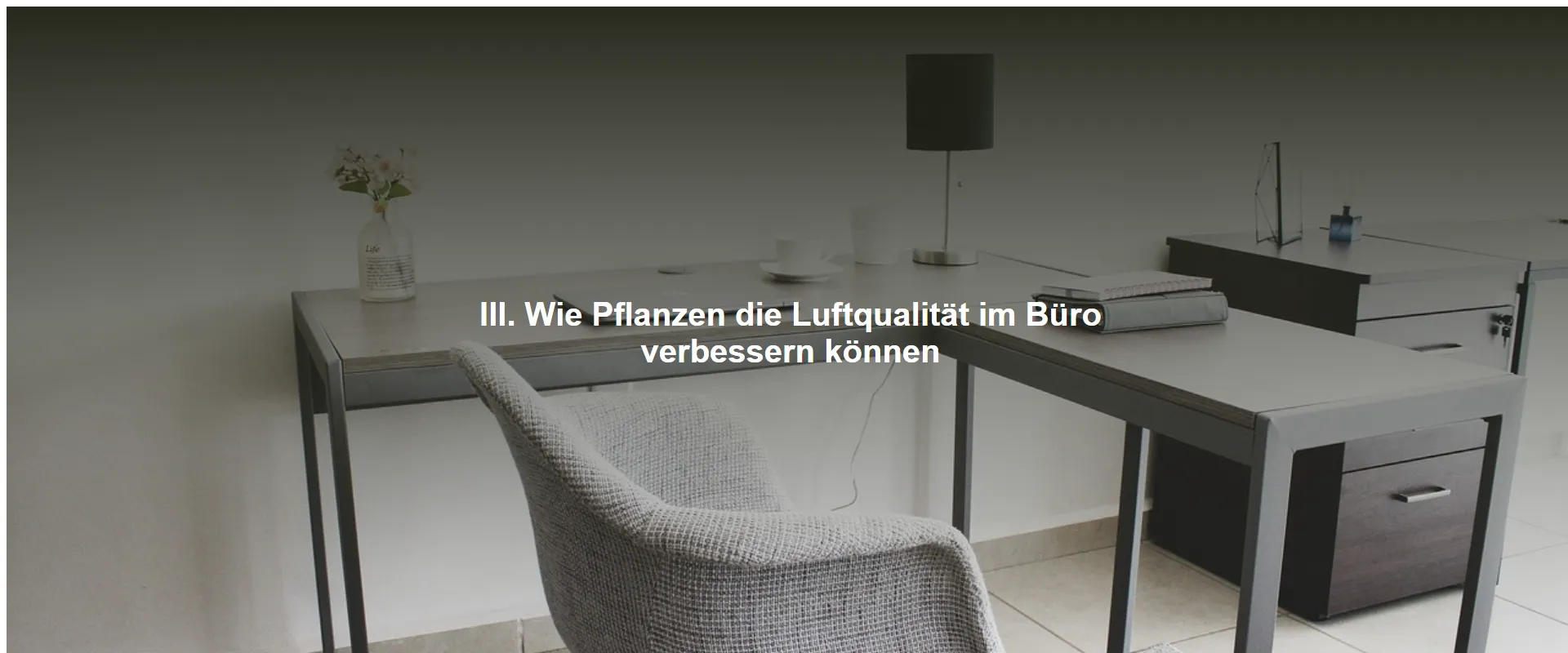 Wie Pflanzen die Luftqualität im Büro verbessern können