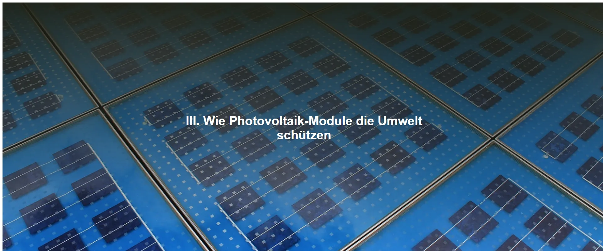 Wie Photovoltaik-Module die Umwelt schützen