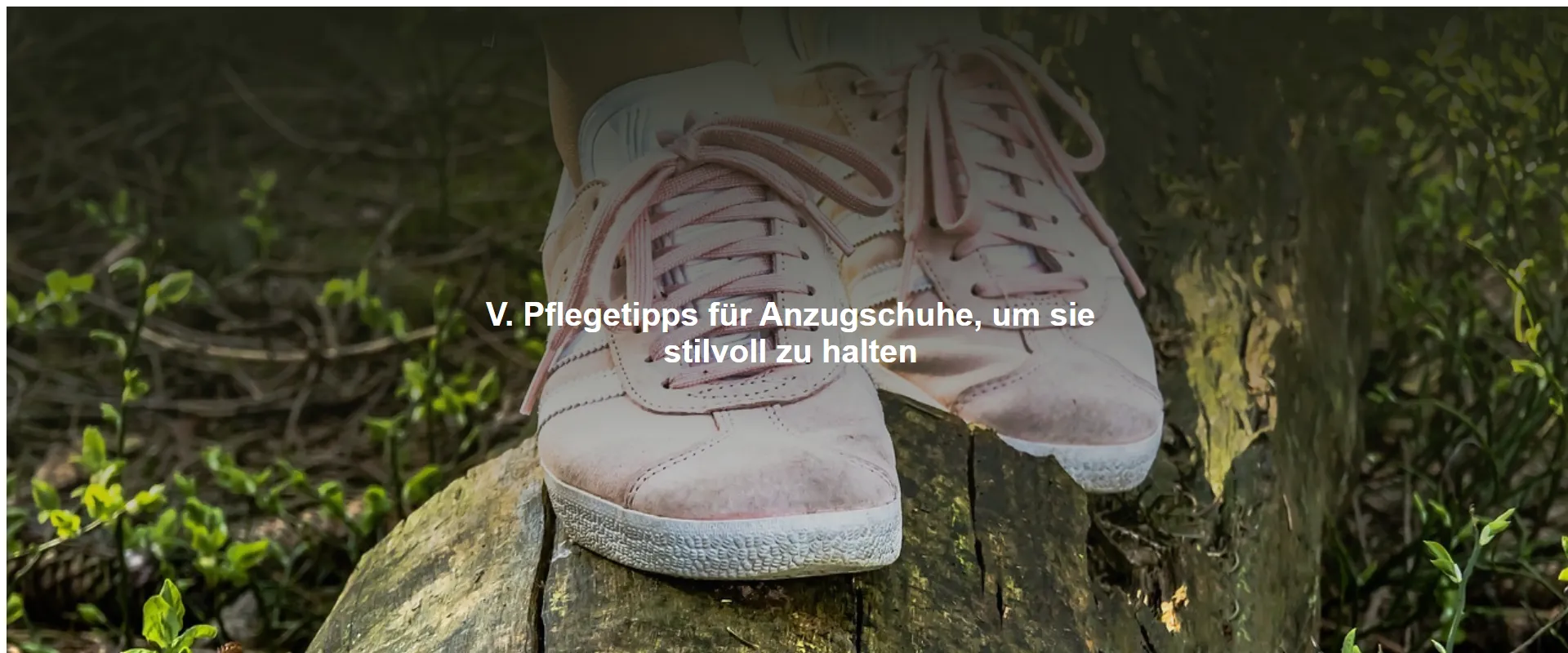 Pflegetipps für Anzugschuhe, um sie stilvoll zu halten