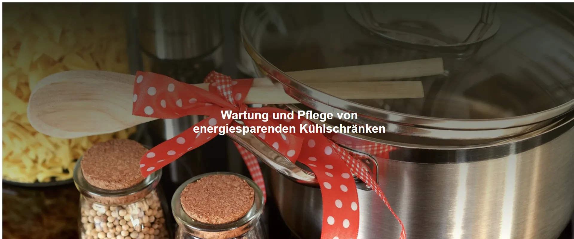 Wartung und Pflege von energiesparenden Kühlschränken